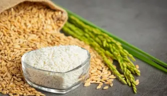 GST on Fortified Rice and Fortified Rice Kernels (FRK)